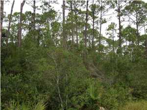 East Bay Plantation - Land