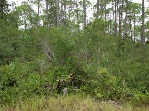 East Bay Plantation - Land