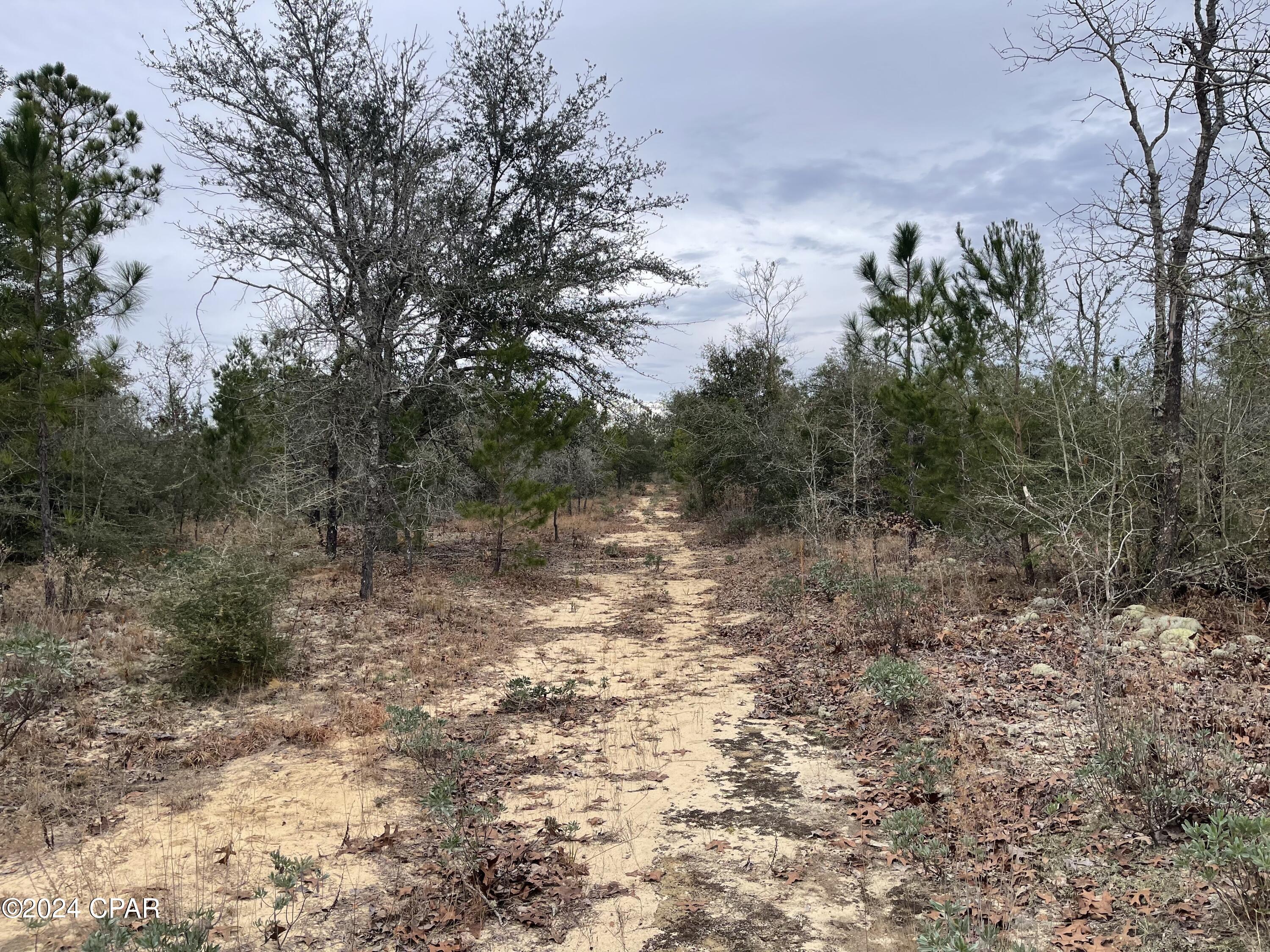 No Named Subdivision - Land