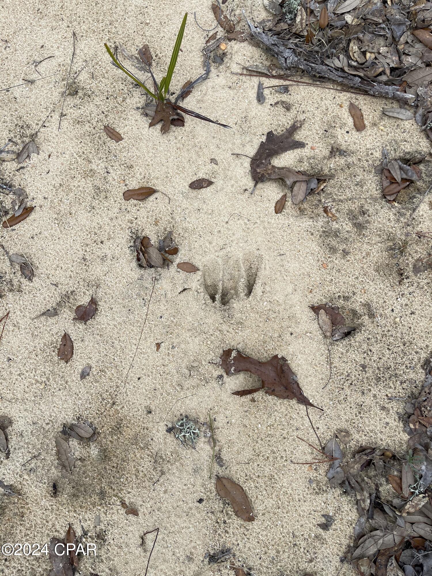 No Named Subdivision - Land