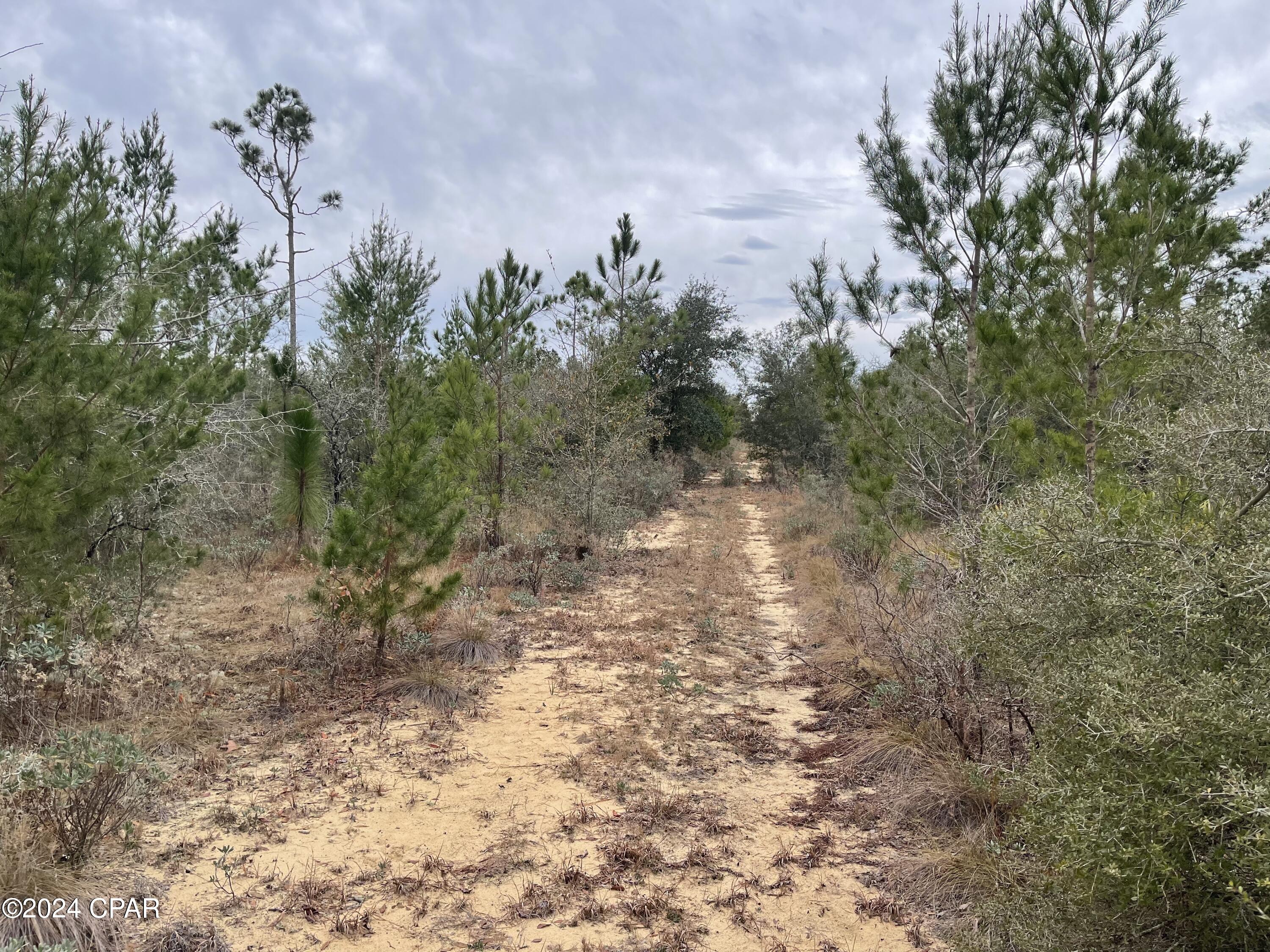 No Named Subdivision - Land