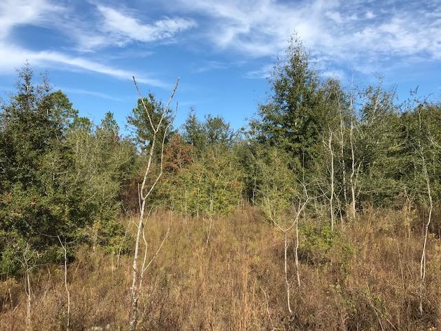 [No Recorded Subdiv] - Land