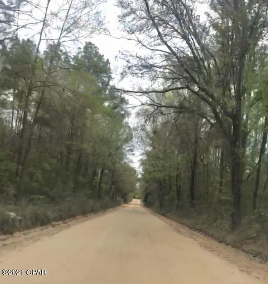 If you're looking for country living, this is it! Seller has recently installed a culvert and driveway. Over 22 total acres of beautiful land. 17.23 acres of high and dry land on one side of River Road with 5.5 acres of wet land on the other side of the road. A small portion of the 5.5 acres is high and dry. One could build a hilltop home or use it for hunting land. Only 4 miles to I-10.