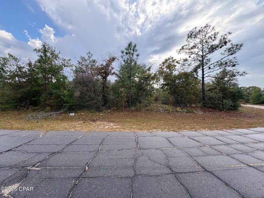 Attention builders and developers... large 1/2 acre plus oversized lot that is build ready! Don't miss this exceptional opportunity to own an huge .624-acre building lot in Unit 6 of Sunny Hills, located at Lot 9 on Trellis Drive. This lightly treed, flat and level parcel offers an outstanding homesite with flexibility for a custom build with a spacious yard.

Backing up to a large privately owned parcel, this property provides excellent rear privacy and a peaceful natural setting. This section of Trellis Drive has not yet been developed, enhancing the quiet, secluded feel while still being located in an area of Sunny Hills experiencing steady growth, with existing homes and new construction nearby.

Conveniently situated just off Elkcam Blvd and very close to Highway 77, the location offers quick access north to Chipley and south to Panama City and the Gulf Coast beaches. Water and power are available, making this lot ready for immediate development (buyer to verify all utilities).

With its oversized dimensions, privacy, strong location, and attractive price point, this property is ideal for builders, investors, or anyone looking to secure a premium homesite in a growing Northwest Florida community.

Priced to sell... bring your plans and start building your new home!