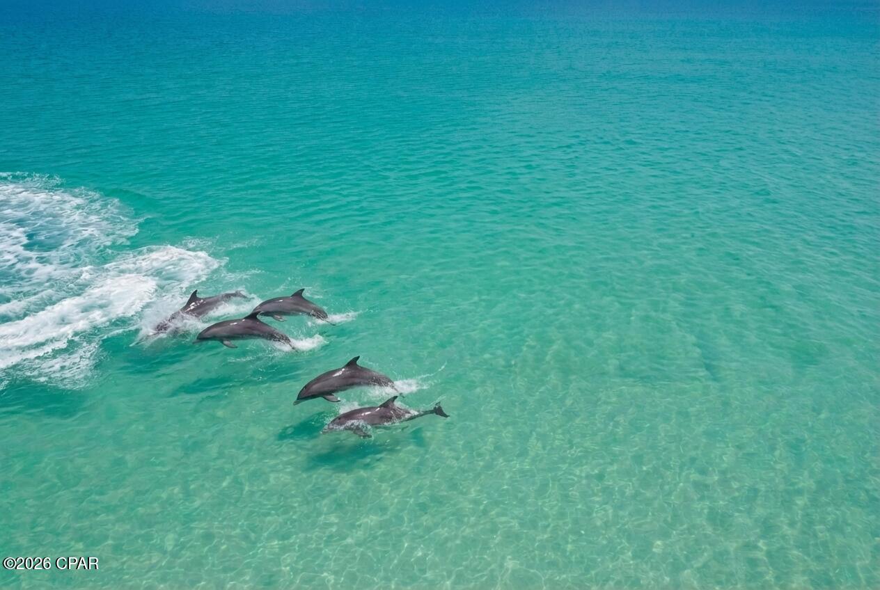 Holiday Beach Unit 16 - Residential