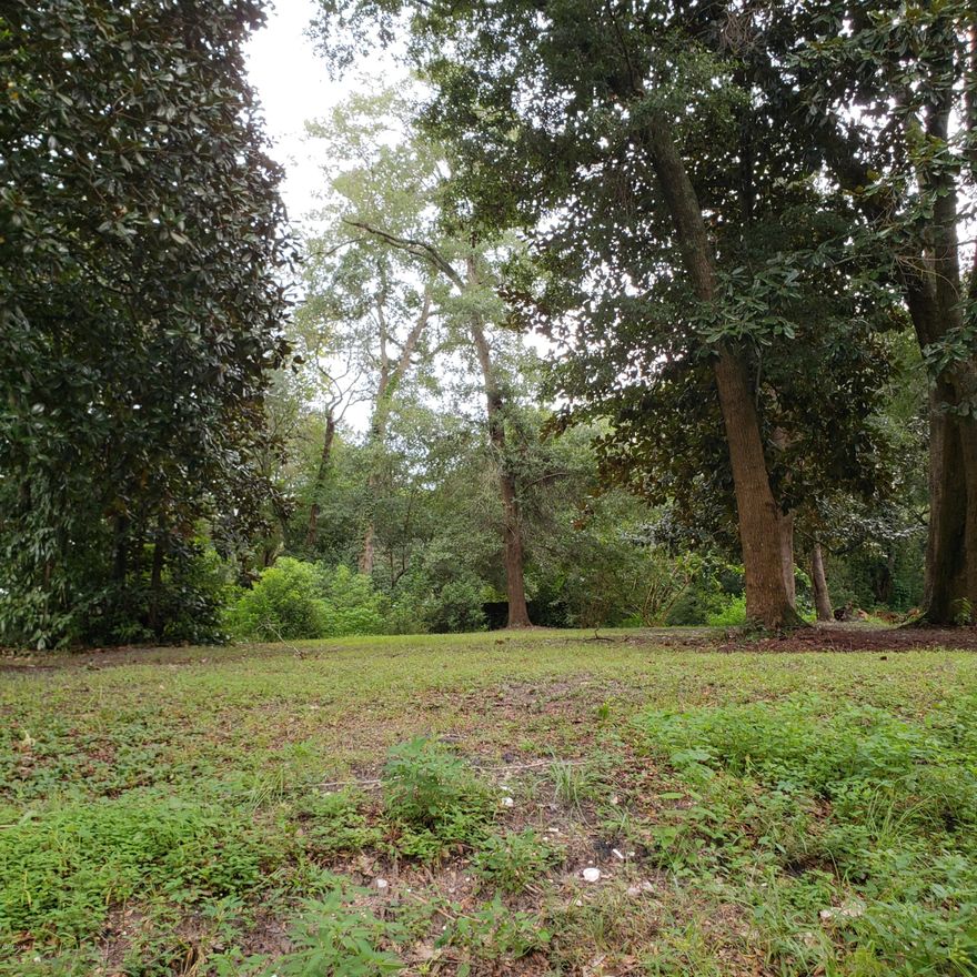 Commercial lot 100x135