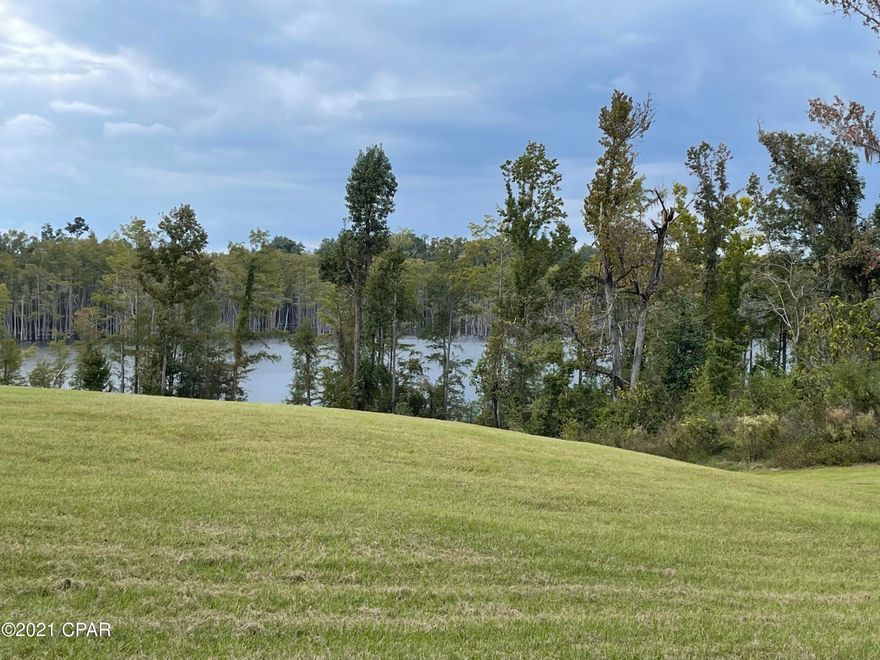 Vacant land includes 1 acre pond with hardwood and pines. Great hunting and fishing property with several future homesite possibilities. This property is high and dry with no wetland issues. Currently has approximately 40 acres being used for row crop with a 2 inch well for irrigation. Approximately half mile of paved road frontage on Shady Grove Road with additional access from Pond Lane, which overlooks Ocheesee Pond, as well as Spooner Rd.