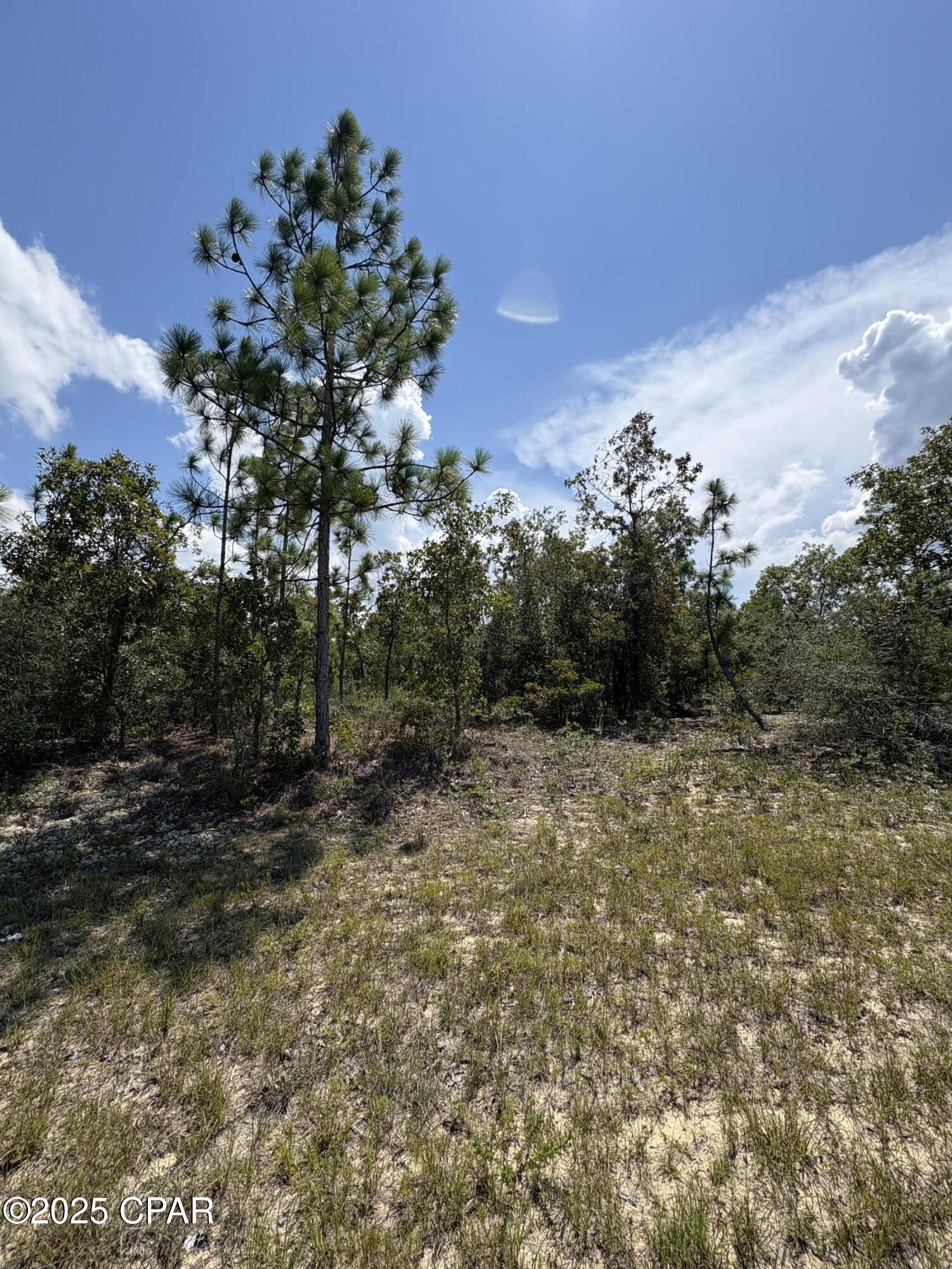 Sunny Hills Unit 6 - Land