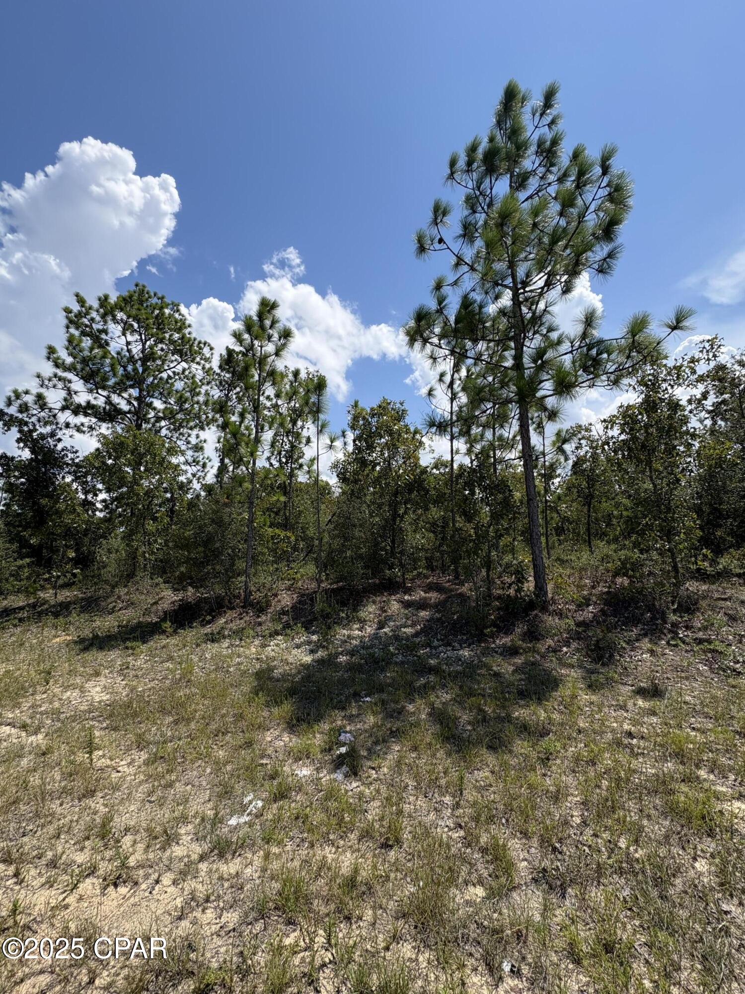 Sunny Hills Unit 6 - Land