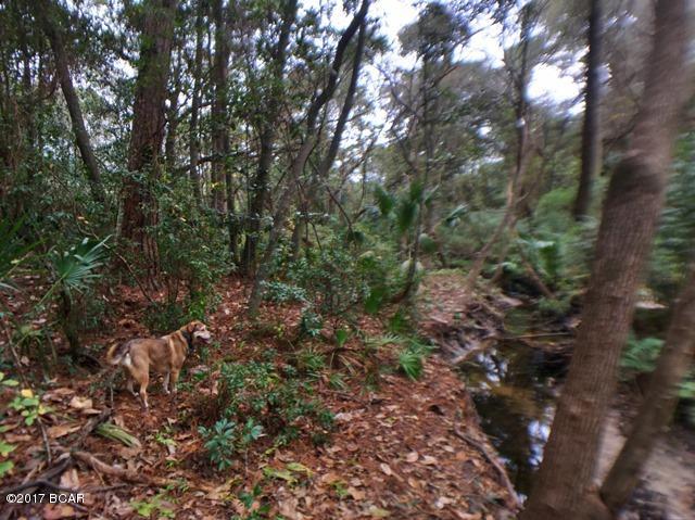 Pine View - Residential