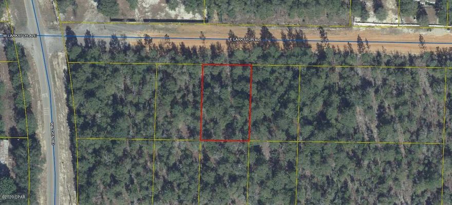 Lightly wooded lot in growing Mossy Head community of DeFuniak Springs. Perfect spot to build your new home or you could put a mobile home here. No utilities currently on the property but power is on the street. Public water is available with paid tap fee. Septic tank will be required. Property is located minutes from Blackstone Golf Course and Interstate-10. DeFuniak Springs and Crestview are approximately 15 minutes away and it is approximately 30 minutes to Niceville and Eglin Air Force Base.  Two adjoining lots (.229/acre each) also for sale separately (MLS #702268 and #702271).