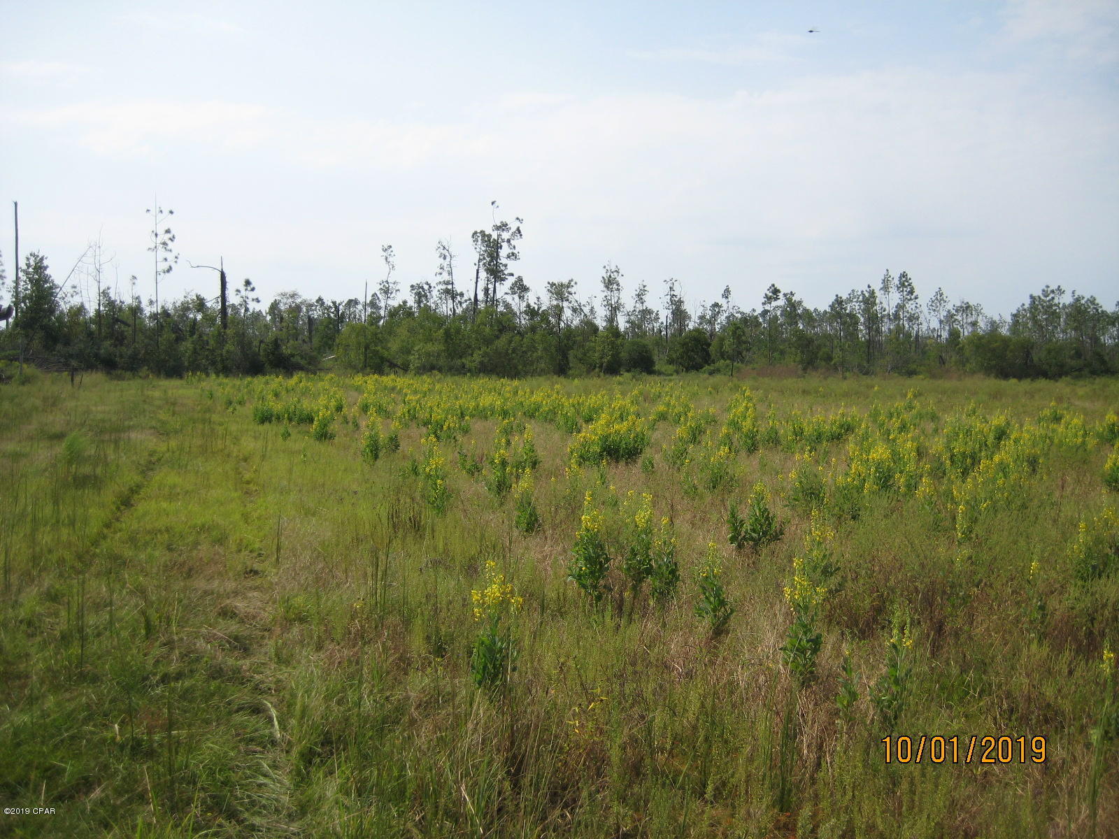 [No Recorded Subdiv] - Land