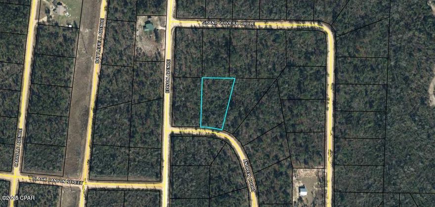 Wooded Residential 1+ Acre Lot that is Level and Dry in a High Elevation location in the Compass Lake in the Hills development in Northwest Florida. Conveniently located approx. 15 minutes South of Interstate 10 at Marianna, and about 40 minutes North of Panama City for Shopping, Restaurants, Entertainment, and Beautiful Gulf Beaches. As an owner in this development you have access to Private McCormick Lake for Fishing, Swimming, Canoeing, Kayaking, as well as the Main Lodge over on Compass Lake with Swimming Pool, Tennis Courts, Horseback Riding, etc. Come enjoy the Quiet, Peaceful Lifestyle at Compass Lake in the Hills.
