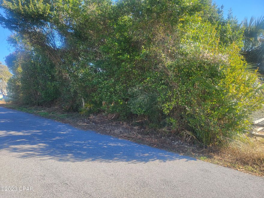 Vacant lot on Residential street, only a few block from the gulf. 95 feet of street frontage, split the lot and build 2 homes



Trailer at 310 Jasmine is not part of property