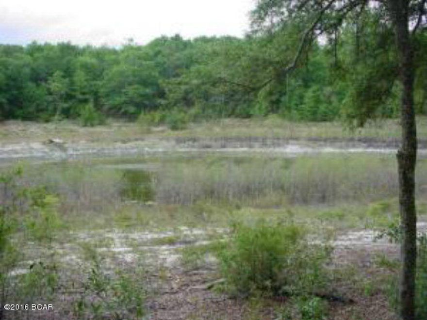 Beautiful country property located minutes from the worlds most beautiful beaches and new Bay County airport. This 13.82 acre parcel has lots of trees and has some waterfront at the back of property. Several places for nice homesites are on this also. Lots of beautiful custom built homes are being built in this area. There are restrictions that apply on this. Seller Is Motivated. Call today for more deatils.