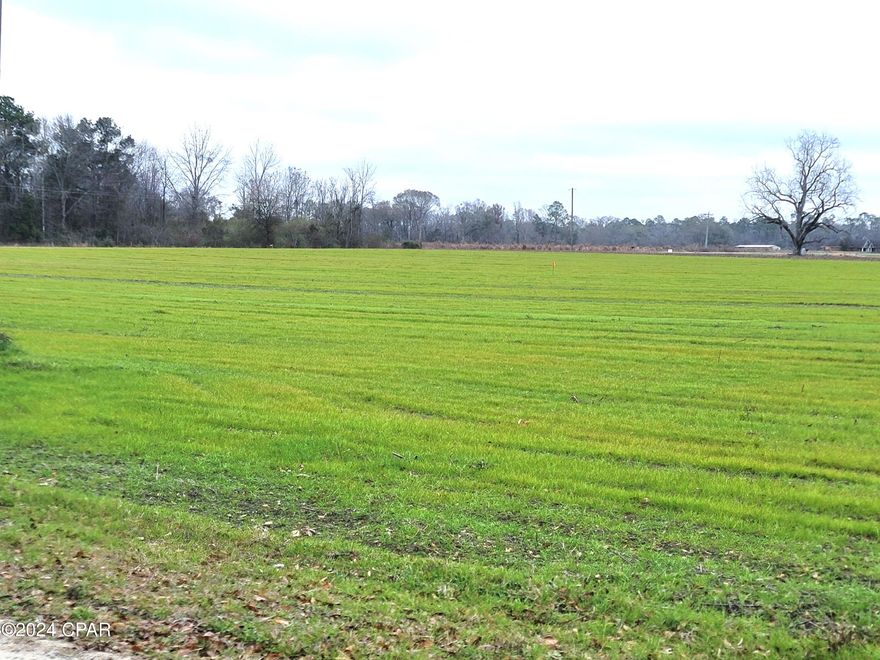 CURRENTLY UNDER CONTRACT, SELLER WILL CONSIDER BACKUP OFFERS!This 1.39-acre parcel of land, nestled in the heart of the countryside is ready for your dream home! This cleared parcel provides a blank canvas for potential construction or to place a mobile home on.  Located a little over a mile off of HWY 77 between Graceville and Chipley. Only 40 minutes away from Dothan, Alabama and 1 hour to Panama City Beach.
Don't miss this opportunity to build your ideal retreat in the heart of nature.