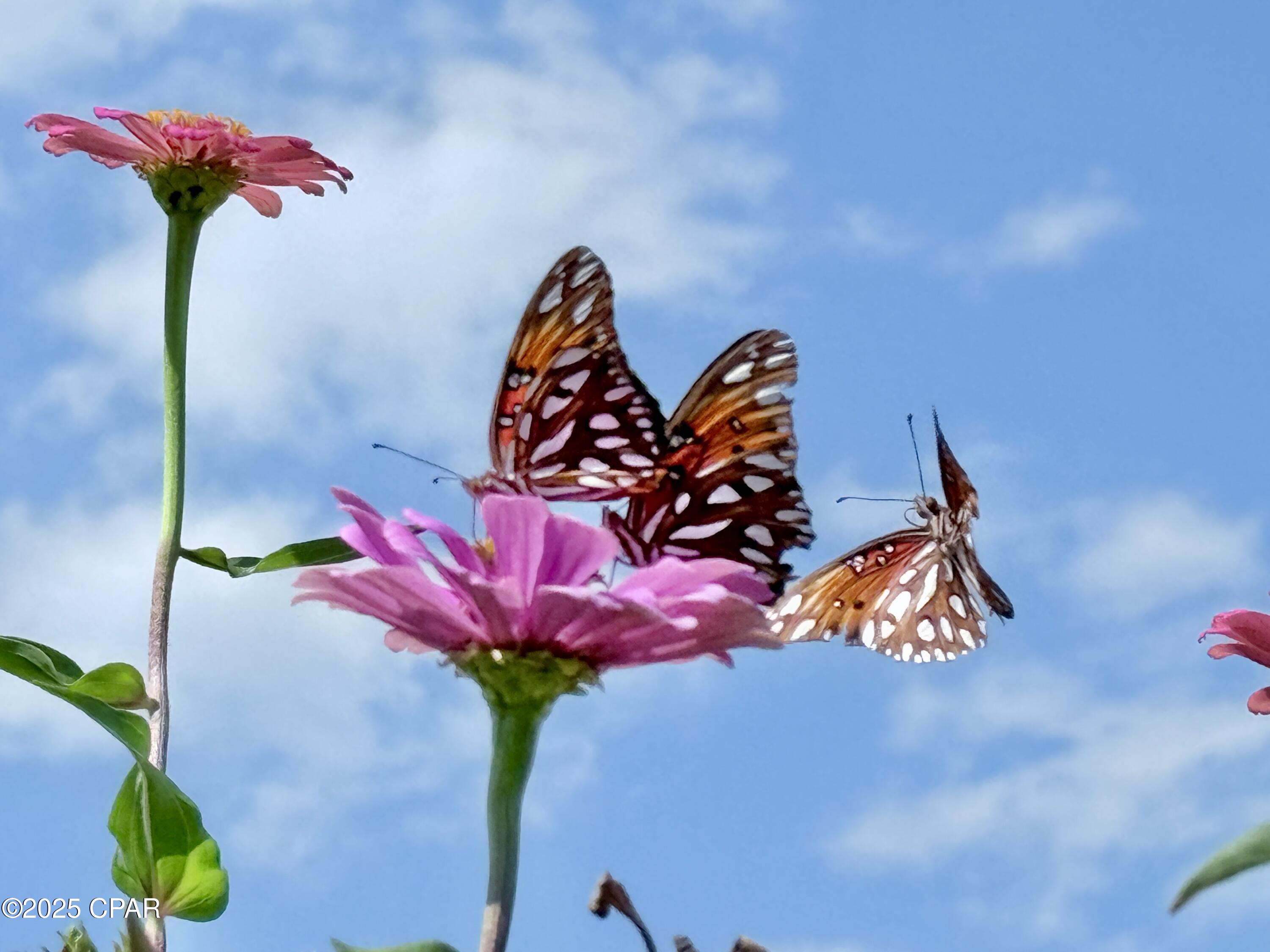 Hammocks Phase VII - Residential