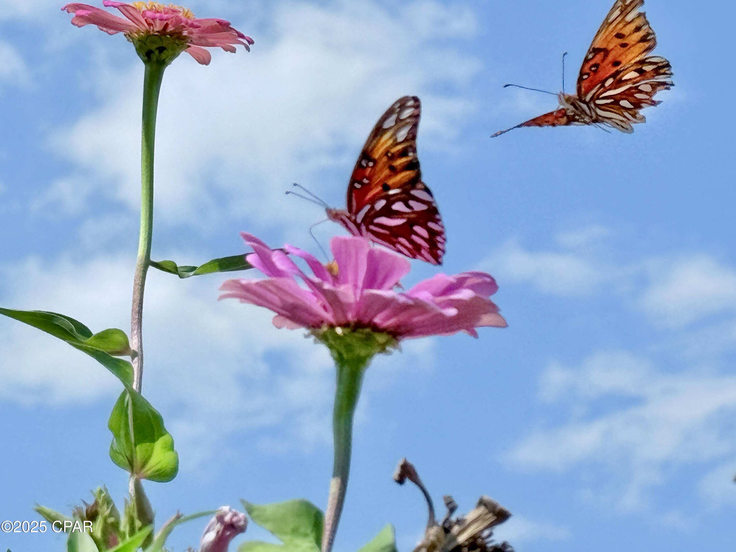 Hammocks Phase VII - Residential