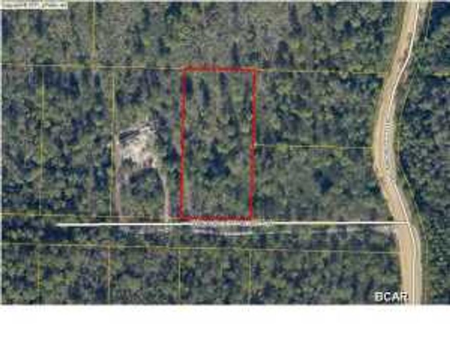 1 acre wooded lot perfect for building or developing! Neighboring lots are for sale too! (All measurements and school zones are approximate and need to be verified by buyer if important.)