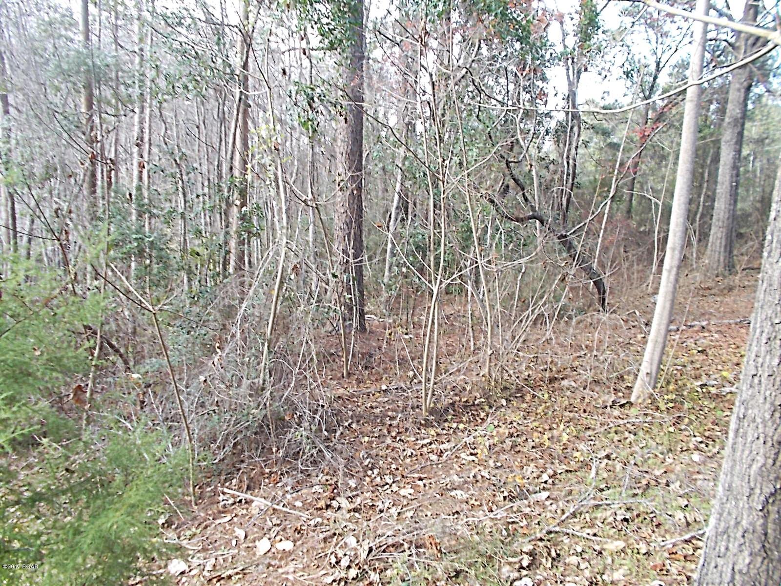 Compass Lake In The Hills - Residential