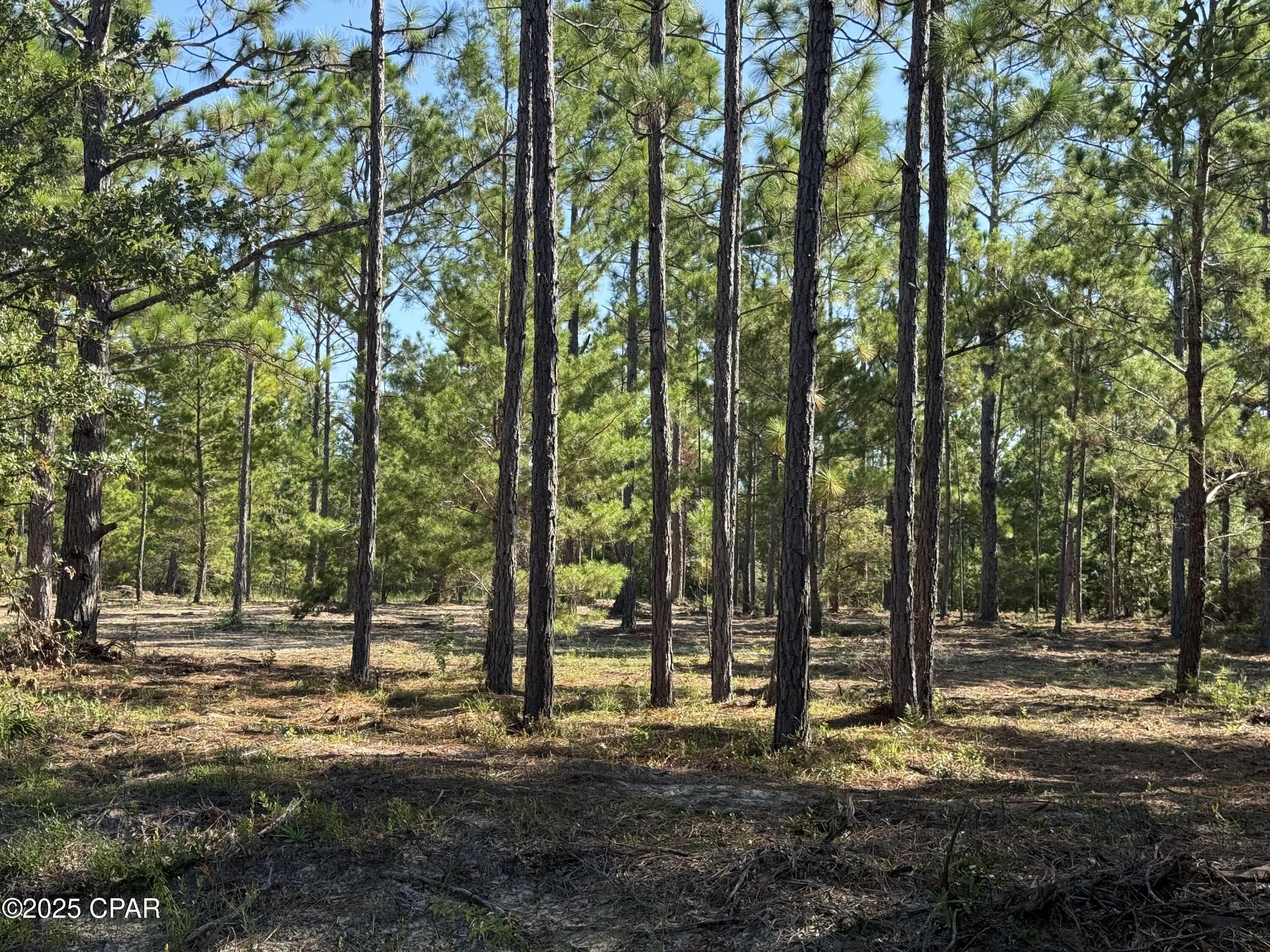 Compass Lake Hills Unit 4 - Land