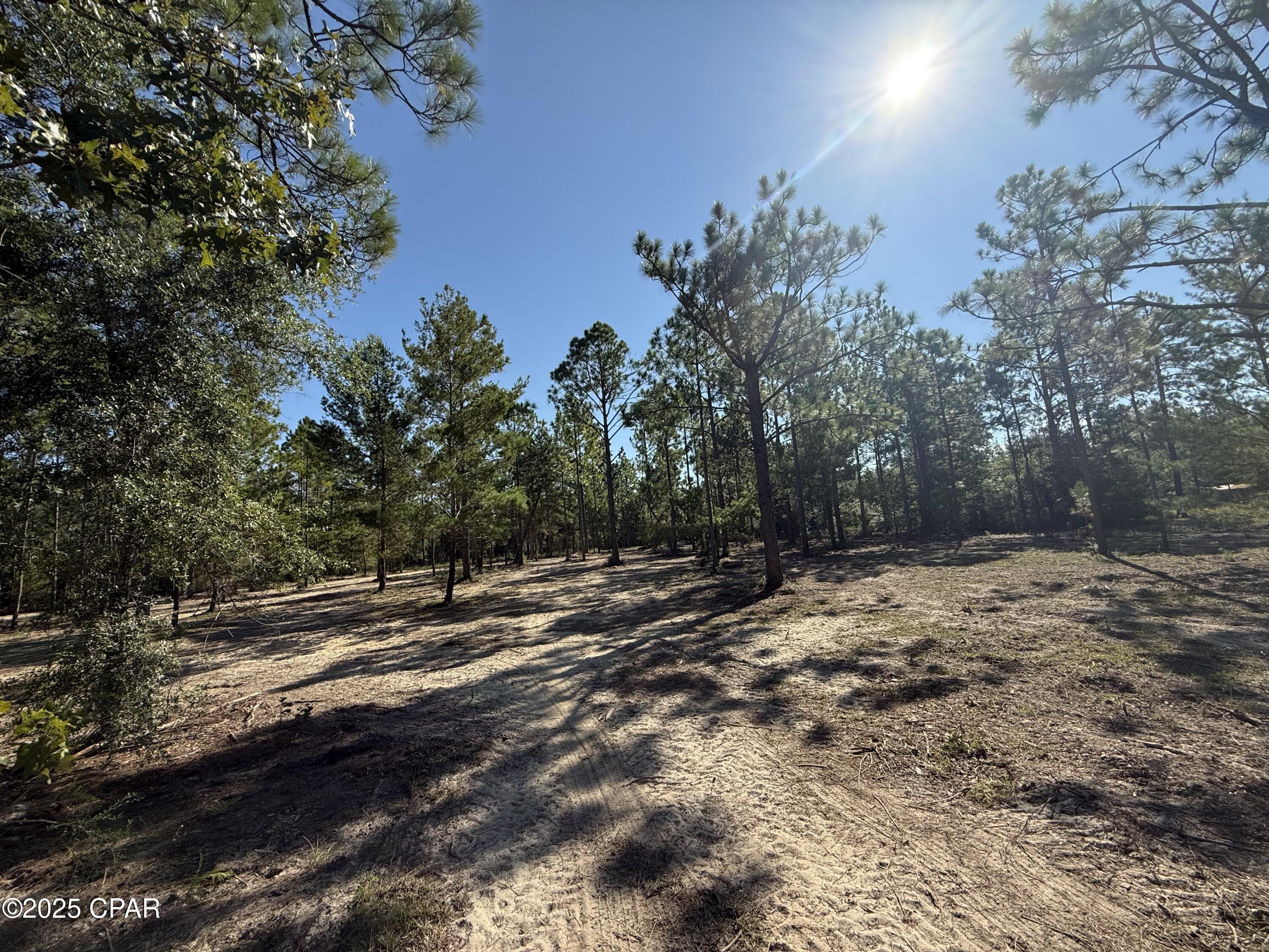 Compass Lake Hills Unit 4 - Land