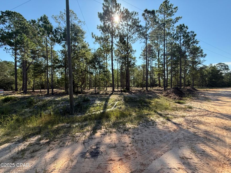 Very Nice Lot on the corner of Adams and Cleveland.  It has been mulched with the trees being left so its more a real estate cut.  This lot is ready for your dream home.