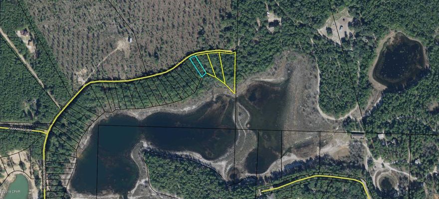 Owner financing is available. Here is a lot priced to sell if you want to live on the lake. Where else can you buy almost 1/4 of an acre lakefront for only $5,000?? All four lots can be bundled for $29,000 

(00000000-00-4155-0502, 00000000-00-4155-0399, 00000000-00-4155-0500, 00000000-00-4155-0501) . All measurements are approximate.