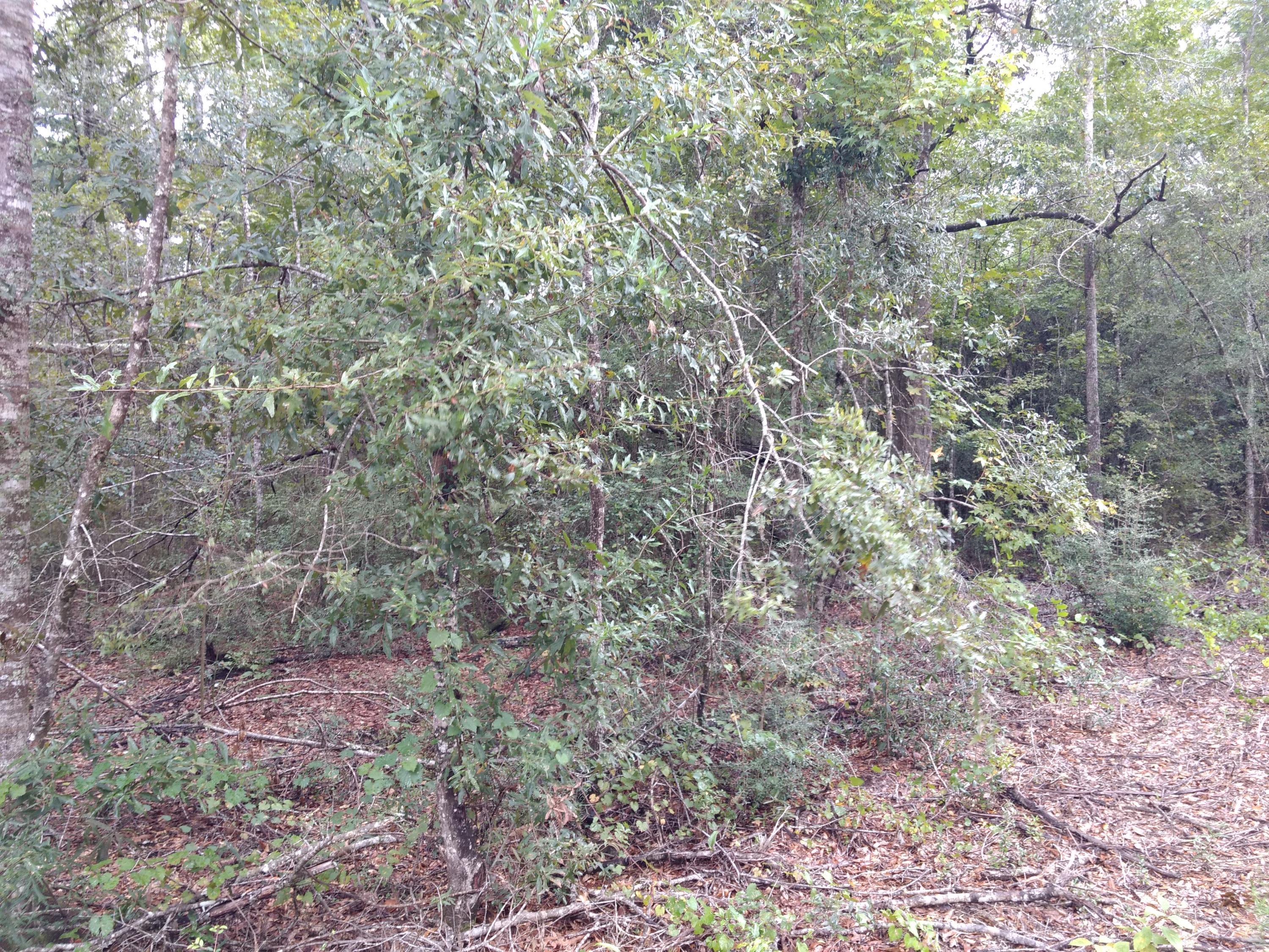 [No Recorded Subdiv] - Land