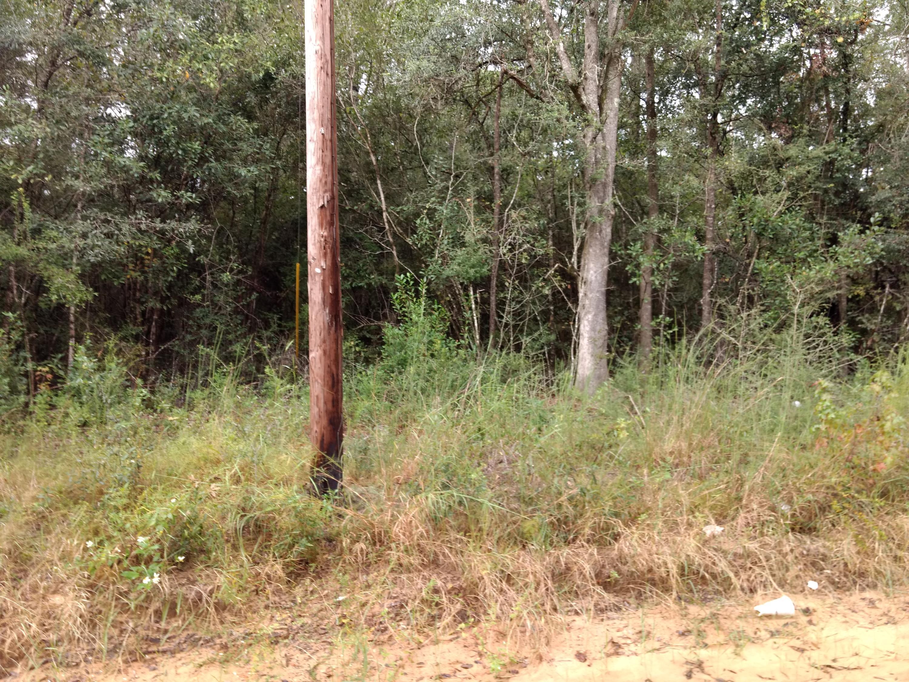 [No Recorded Subdiv] - Land