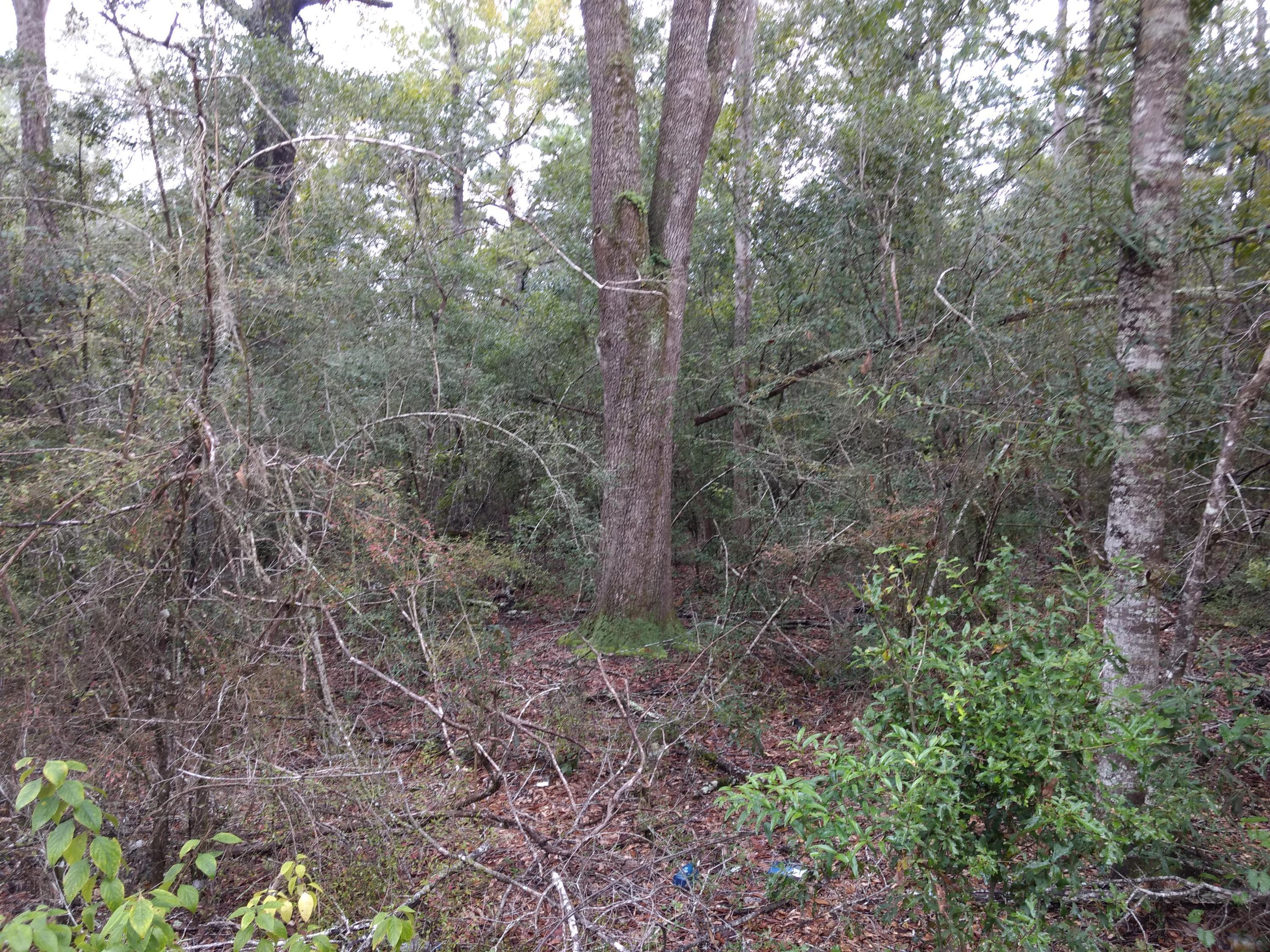 [No Recorded Subdiv] - Land