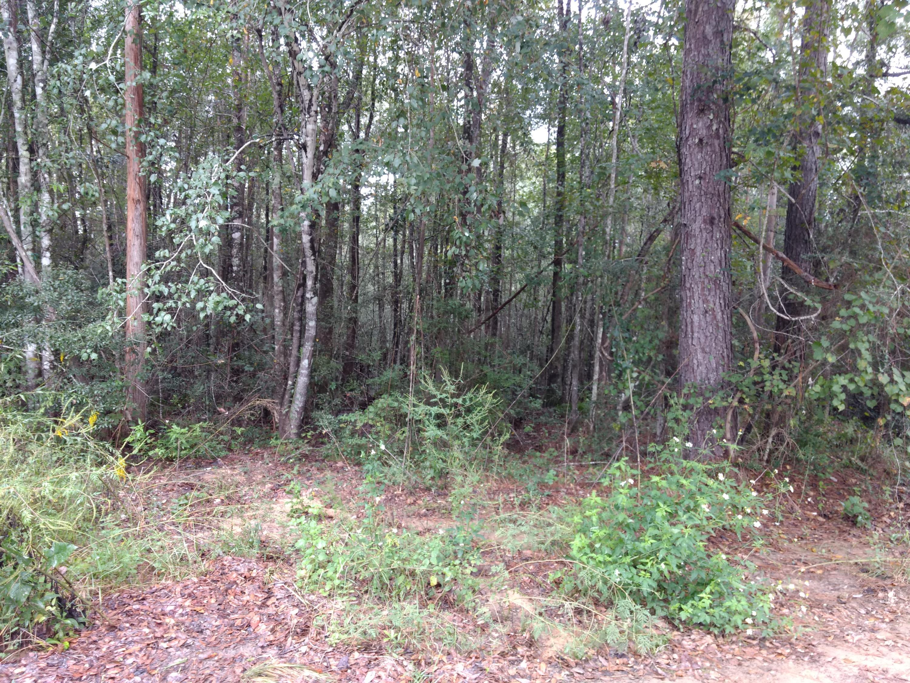 [No Recorded Subdiv] - Land