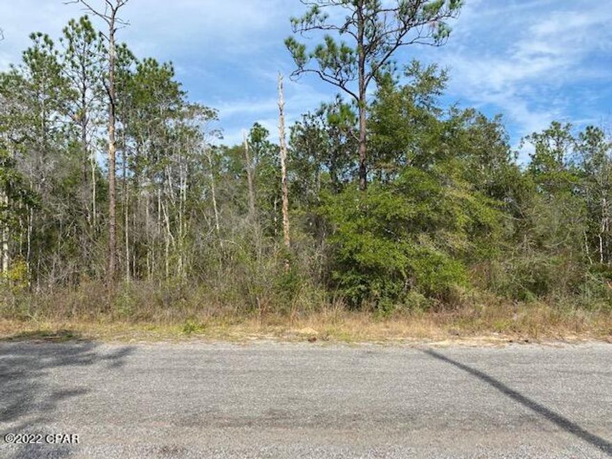 Nice piece of property to build a home on or put a trailer on.  Property is on a gravel road and it is level, with trees and brush.  Community water is available, No Septic or Electric on property. Located half way between DeFuniak Springs and Crestview in the Mossyhead area.  Short distance from Interstate 10.