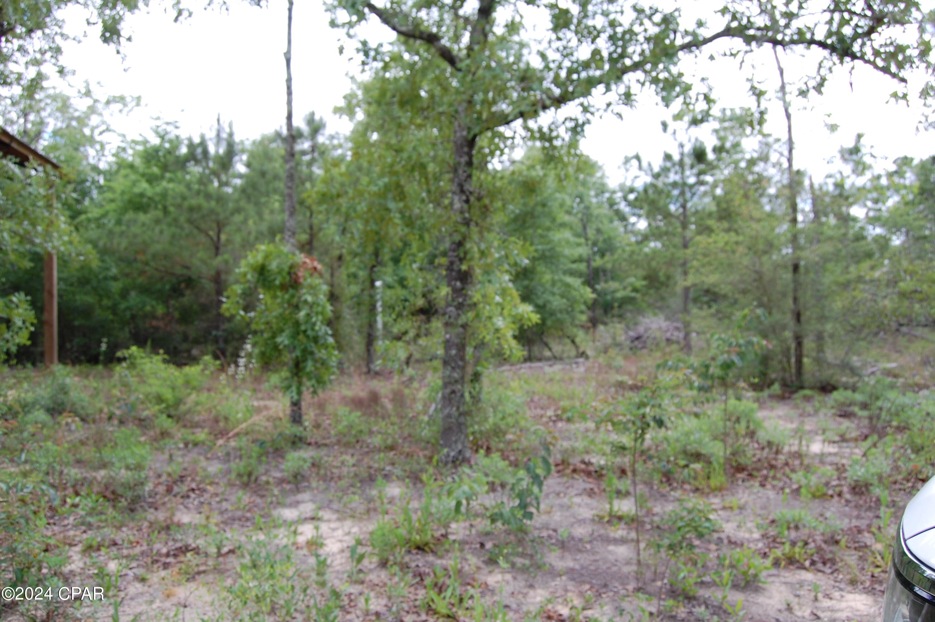 Compass Lake Hills Unit 2 - Land