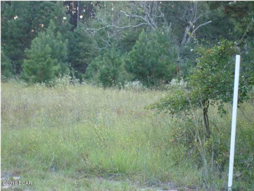 Beautiful, beautiful piece of property with a ravine running through it!