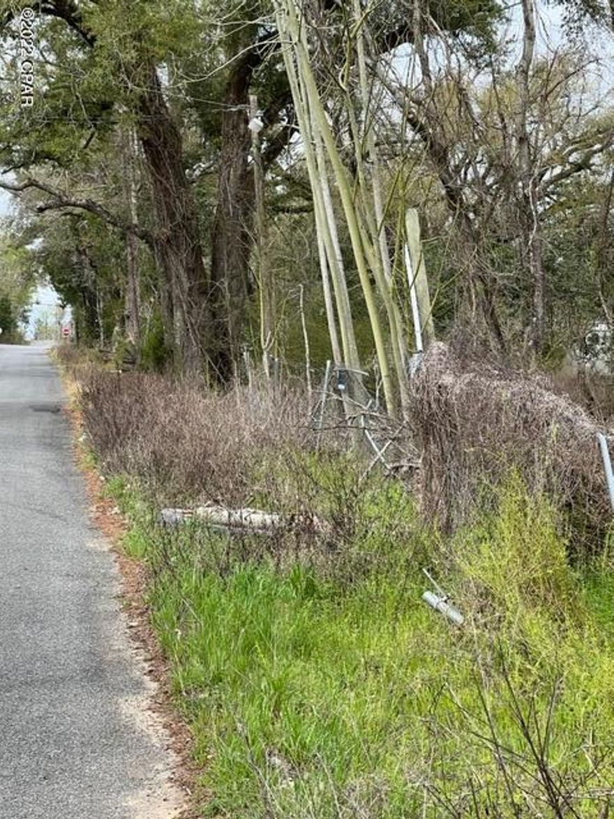 Nice location with paved road on two sides. 3 older MH, 2 private wells, and barn. Within the city limits of Marianna.