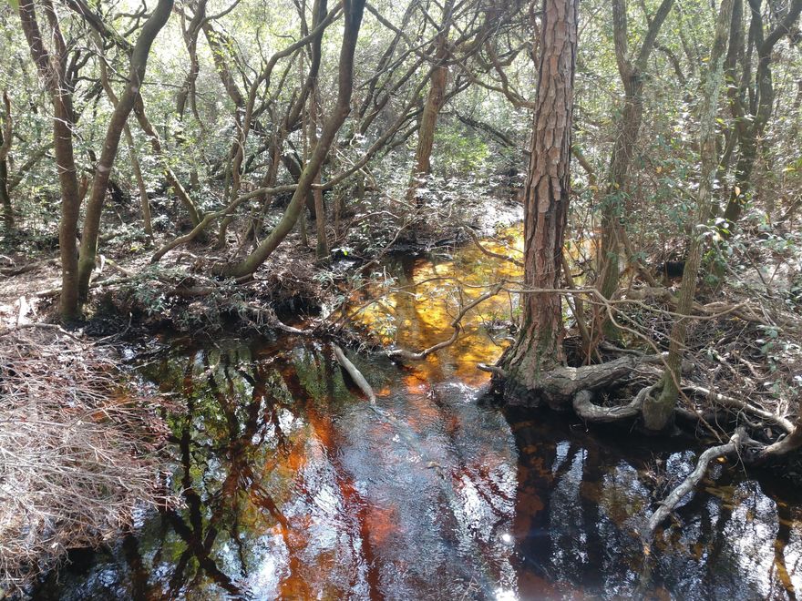 30 acres just off Hwy 20 on Kathy Lane. The property is high and dry with 990' of frontage on Little Bear Creek. The 30 acres is 3 -10 acres parcels allowing for three possible homesites. Property has a good road system, 3 cleared homesites, Power and well, trails leading down to the creek.