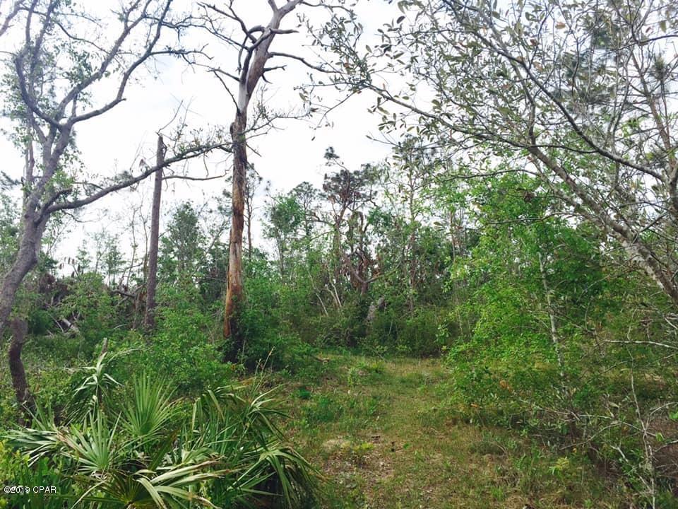 Deerpoint Lake Heights - Land