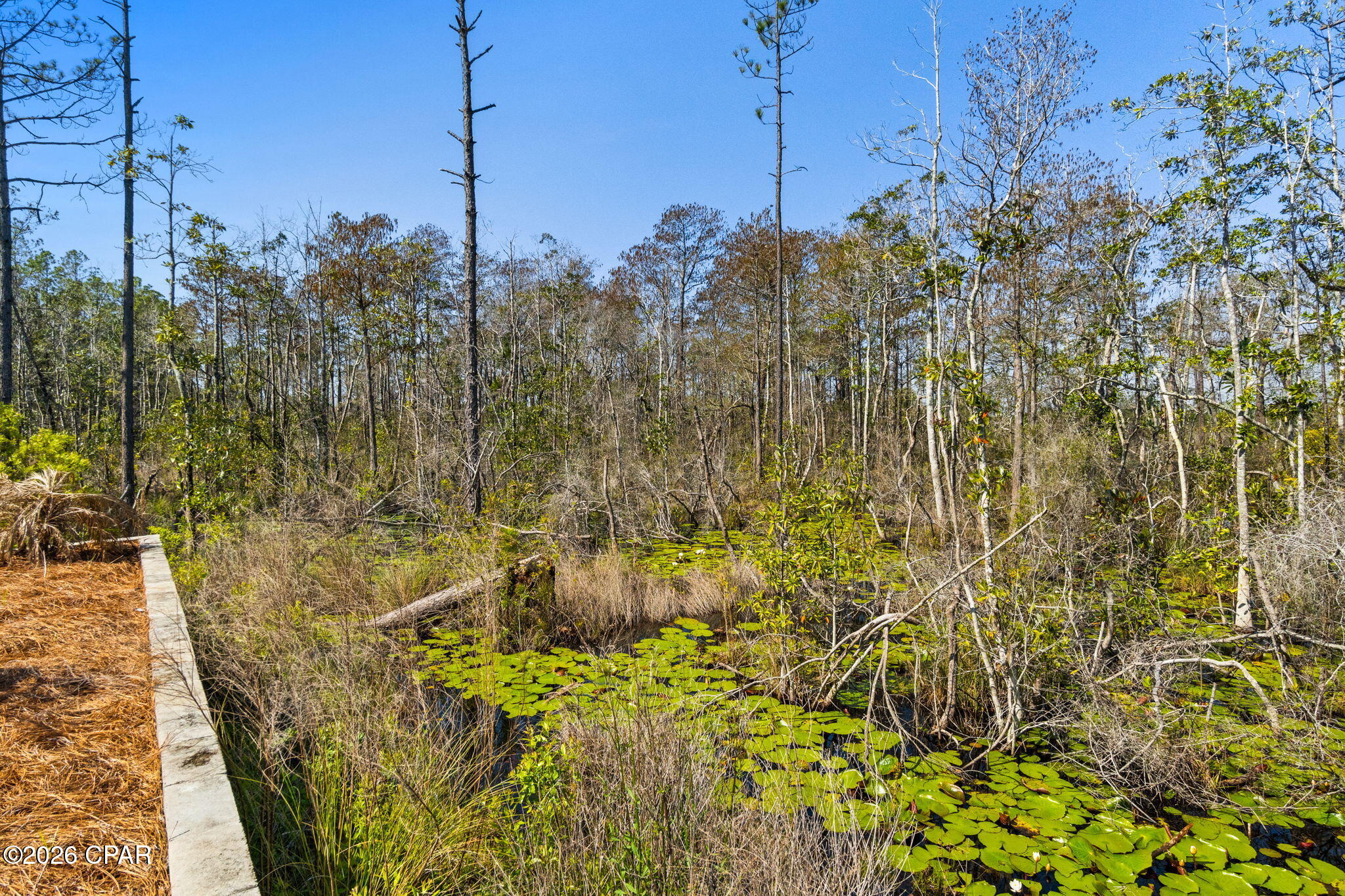 [No Recorded Subdiv] - Residential Lease