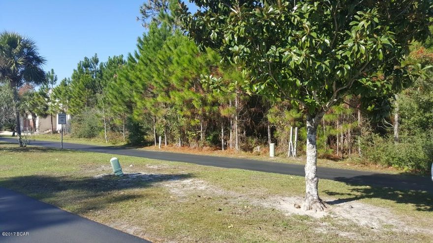 Beautiful 50X75 canal front lot that has easy access to the bay, located within a private gated subdivision.  Harbour Towne has two community pools, tennis court and a club house.  The HOA provides garbage, cable, yard service, management and maintenance of the recreational amenities. The vinyl seawall is already in place and ready for your home to be built.