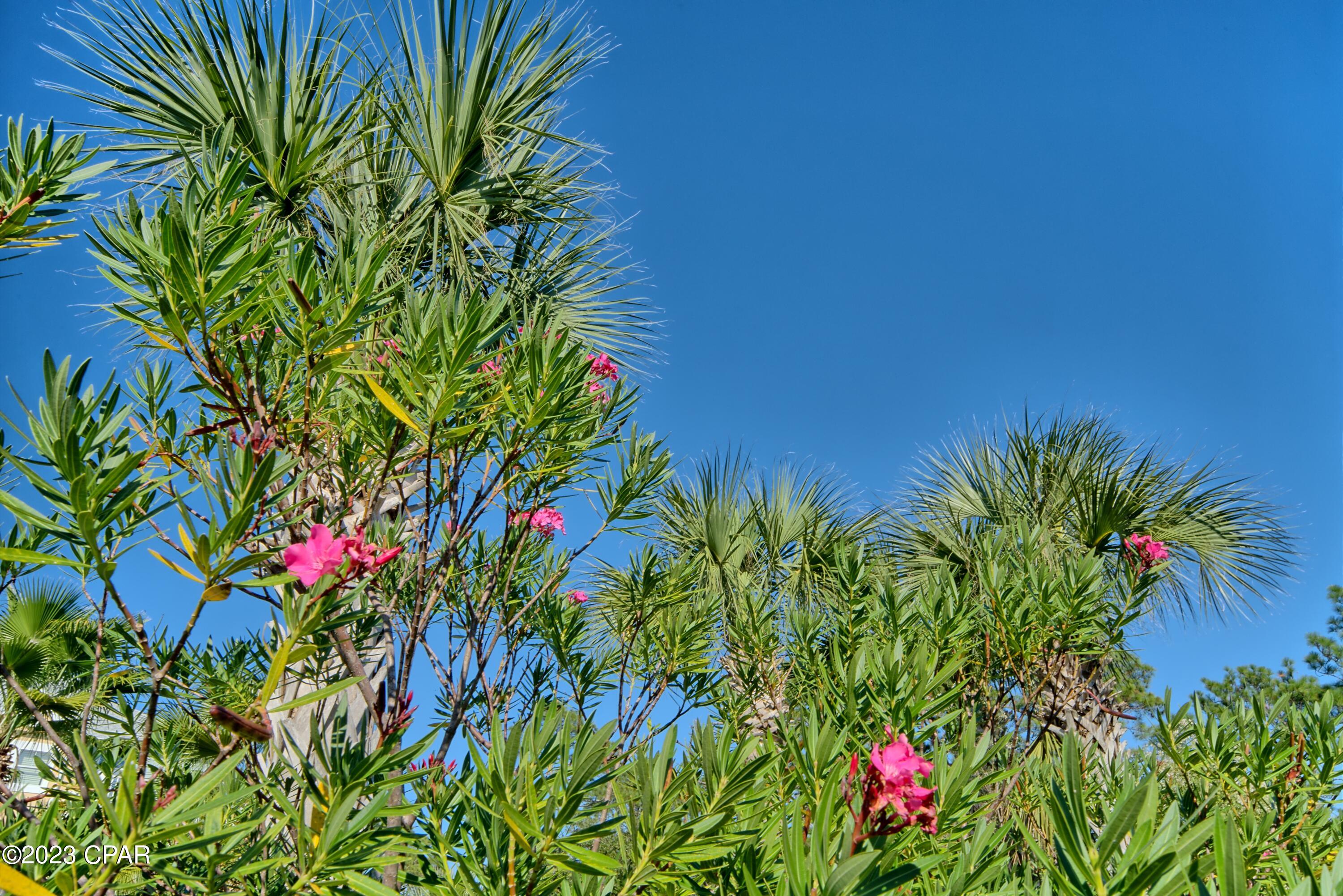 Island Reserve - Residential