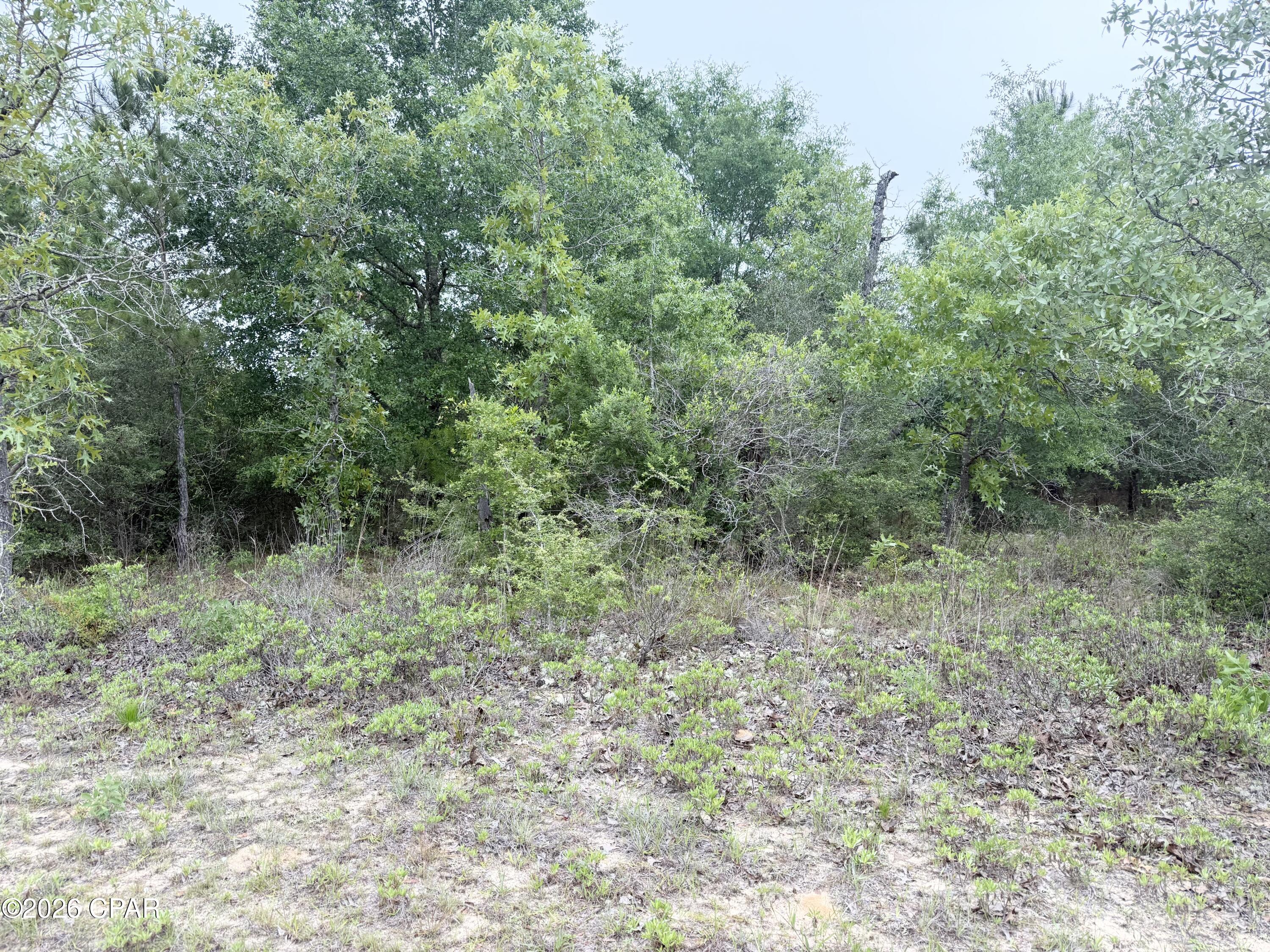 Sunny Hills Unit 6 - Land