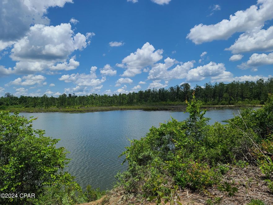Look at these stunning water views! This beautiful pond was once a quarry and is zoned Agriculture (AG1), so not only are the taxes inexpensive ($745/yr) for a holding investment, or you can build your dream home, dream garage, dream motor bike track, dream whatever you want and what the county will approve. Our plan when we purchased it was to build an RV park. Everyone loves a water view! But plans changed and we have since moved out of state. Boundary survey already completed.