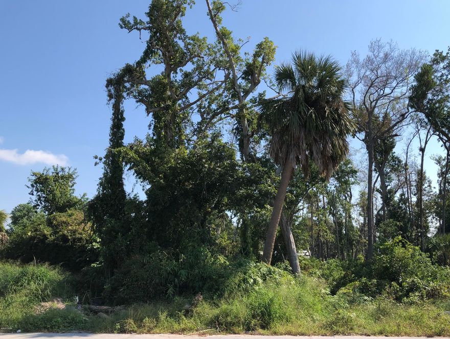 Great location for Business!! Convenient, centrally located and easily accessible. Two huge side be side lots just off 15th Street. Zoned Mixed use. The possibilities are endless. Wooded and not in a flood zone. Priced to sell quick!!