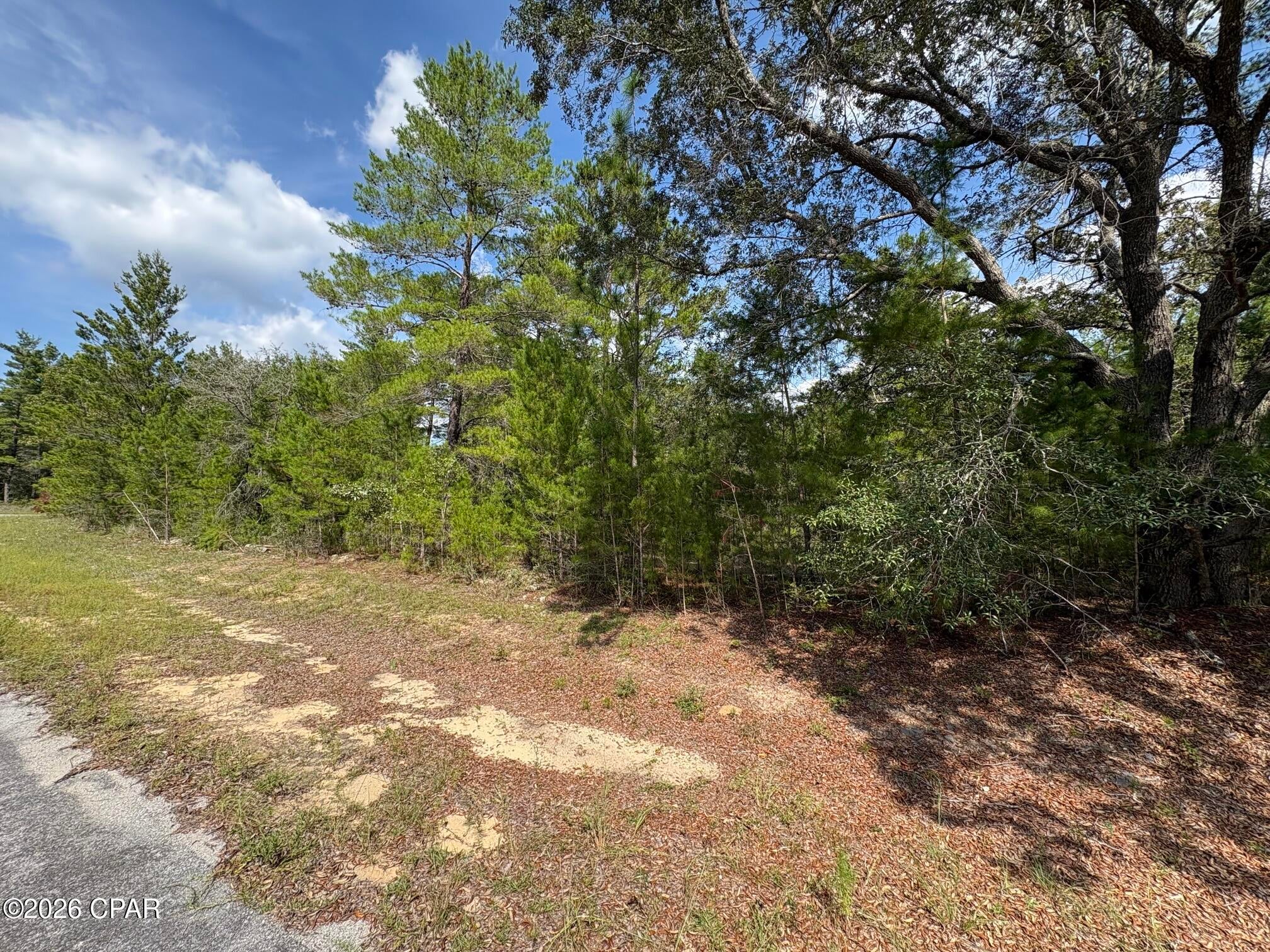LOT 10 Norwood Avenue