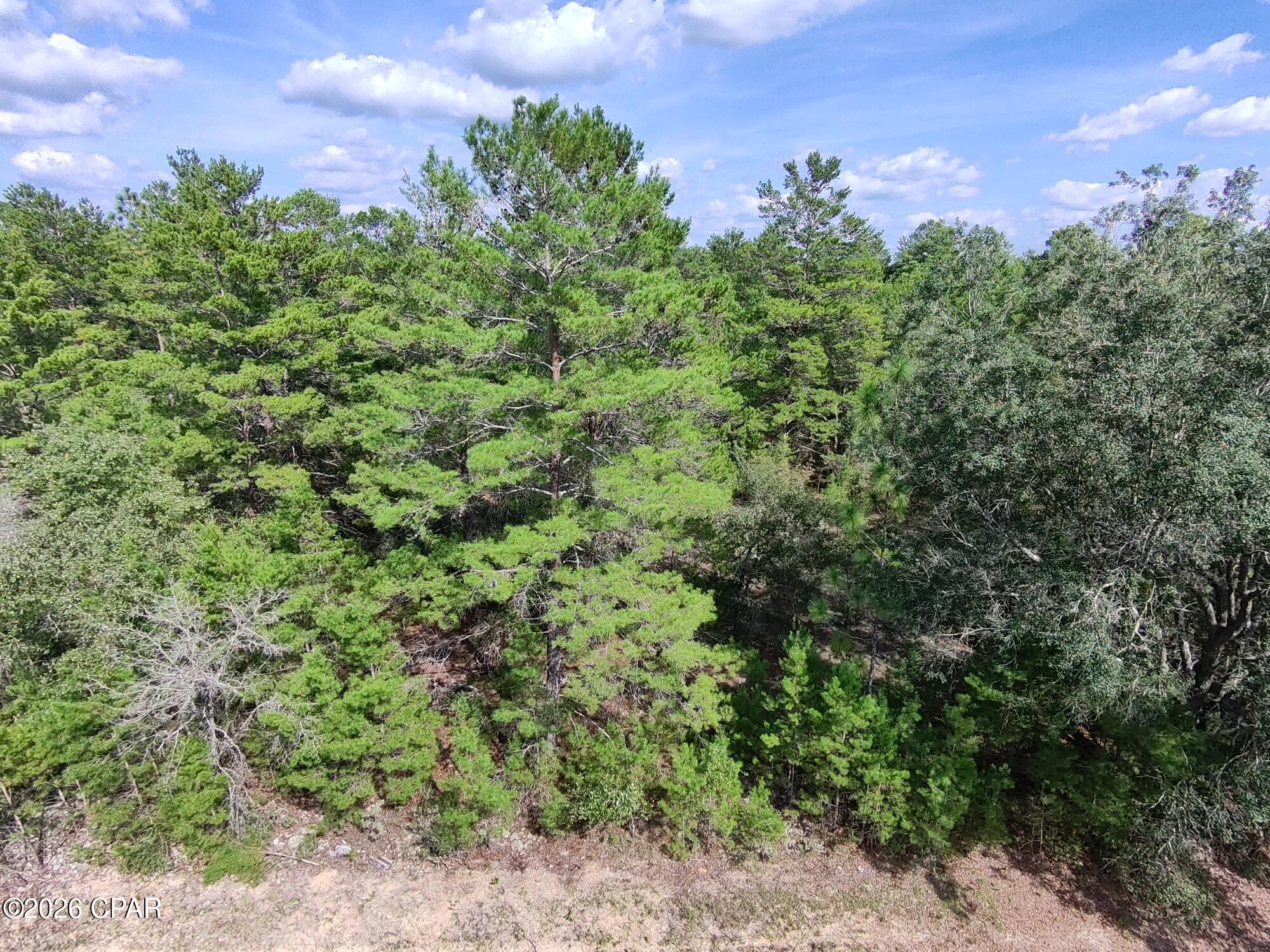 LOT 10 Norwood Avenue