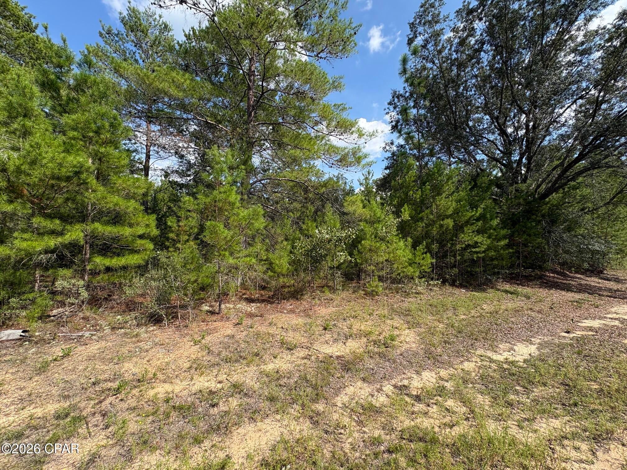 LOT 10 Norwood Avenue