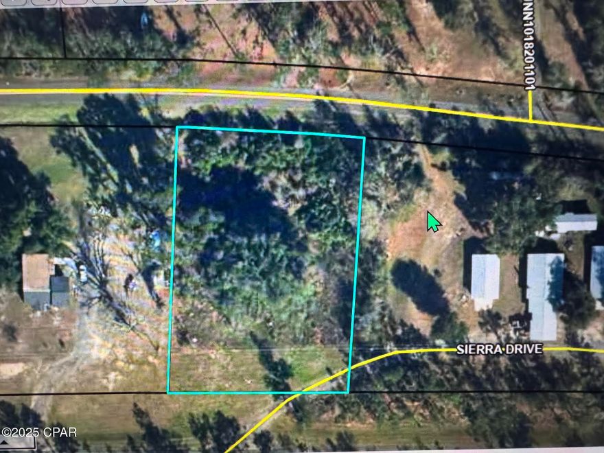 Imagine building your dream home or manufactured residence on this 1-acre haven, perfectly situated near Highway 90 and nestled on the east side of Sneads. With well and septic available for inspection, the possibilities are endless. What's your vision for this exceptional property?