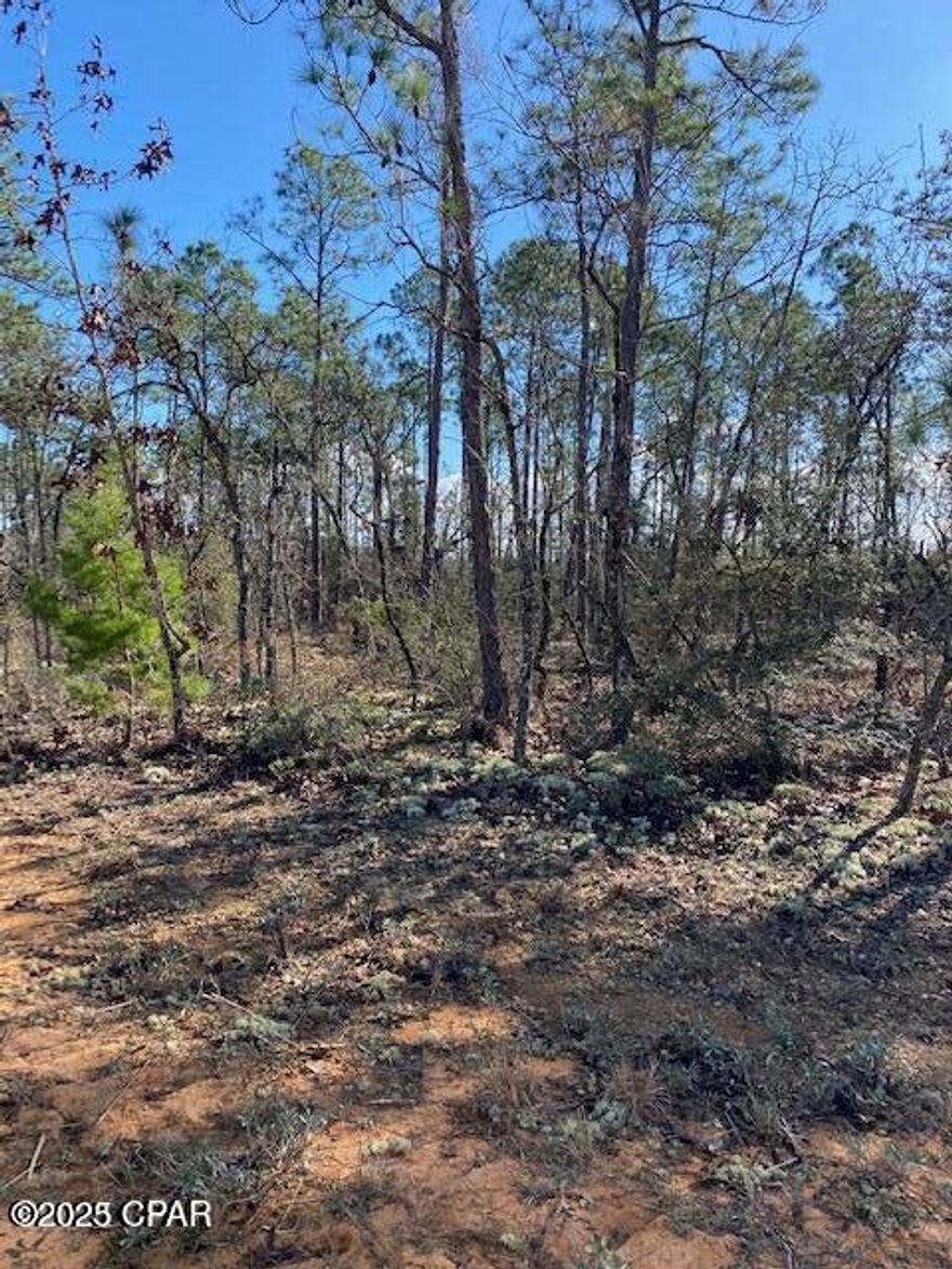 Great buildable lot in Compass Lake in the Hills Subdivision.  Less than an hour to Panama City and the Beach and less than 30 minutes to Marianna.  HOA fees are voluntary and the amenities are a pool and access to McCormick Pond and recreation area and more.