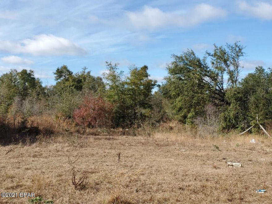 10 ACRES OF LAND zoned residential is ready to be yours! There is an old mobile home on site that needs to be removed. Central located in Fountain, located just off of US-231 and Owenwood Rd. SEE IT TODAY!!